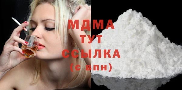 mdpv Бородино