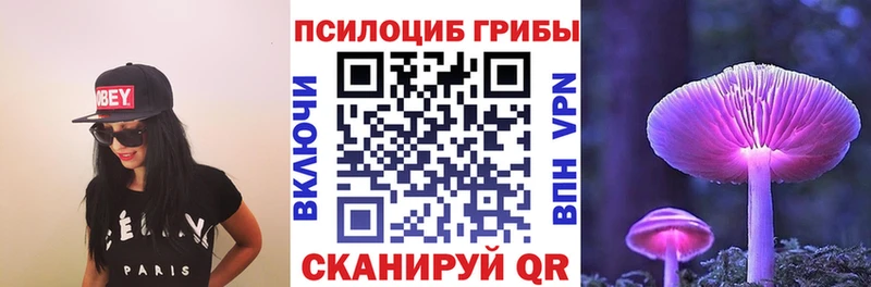 купить наркотики сайты  Гурьевск  Псилоцибиновые грибы Magic Shrooms 